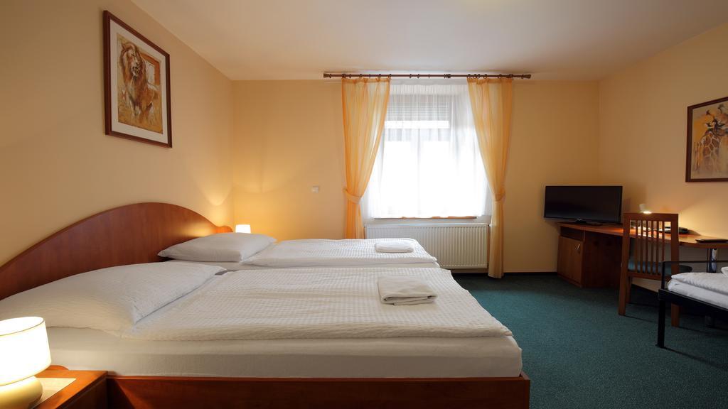 Hotel Palace 3*